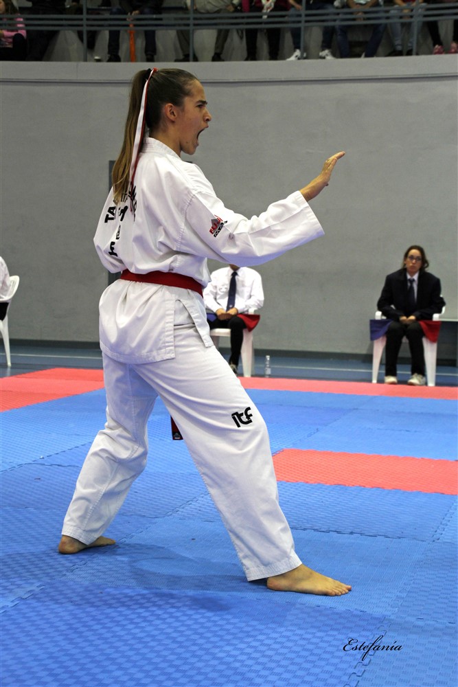 Copa Seul 2018 (464).jpg